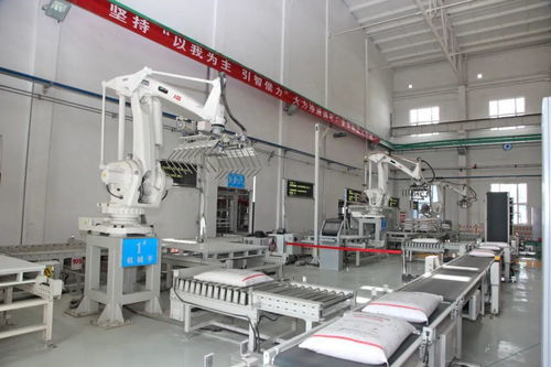 创新激活发展动能 金川集团选矿厂争做国际一流引领者